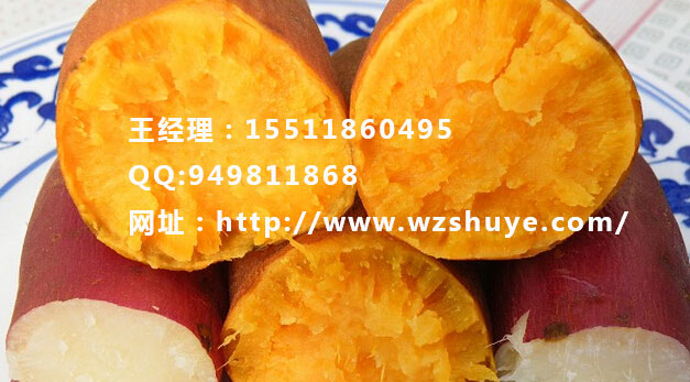 陽江濟薯26 陽江紅薯行情紅薯品種批發(fā)