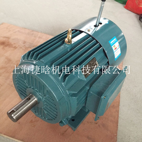 Yej100L2-4 3KW電磁制動(dòng)三相異步電動(dòng)機(jī)