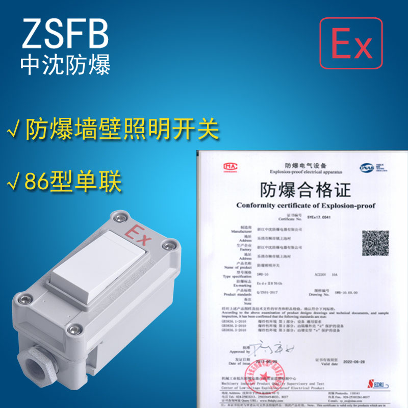 防爆墻壁照明開關SWB-10A/220V 單聯(lián)雙聯(lián)一開二開86型廠用防爆開關