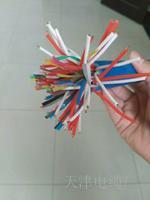 鑷ㄨタRS485闆欏睆钄介洐绲炵窔