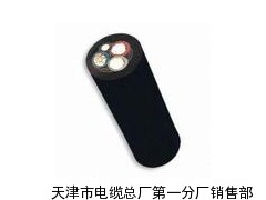 礦用同軸電纜MSYV鎧裝電纜規(guī)格MHY32