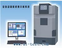 	全自動凝膠成像分析系統(tǒng)