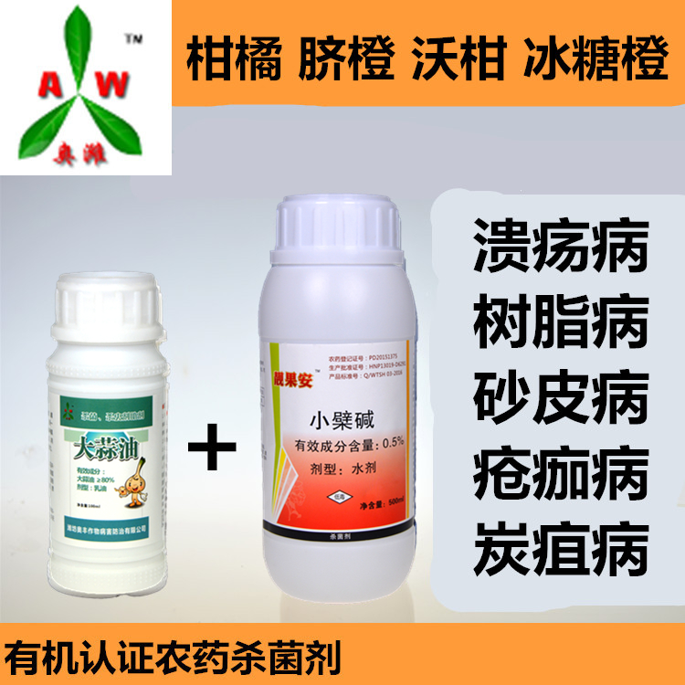 利津縣哪里可以治療番茄青枯病最快防治方法？%