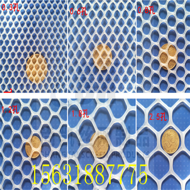 廠家直銷塑料平網(wǎng)養(yǎng)殖網(wǎng)陽(yáng)臺(tái)防護(hù)網(wǎng)防貓網(wǎng)養(yǎng)蜂網(wǎng)養(yǎng)雞腳踩網(wǎng)