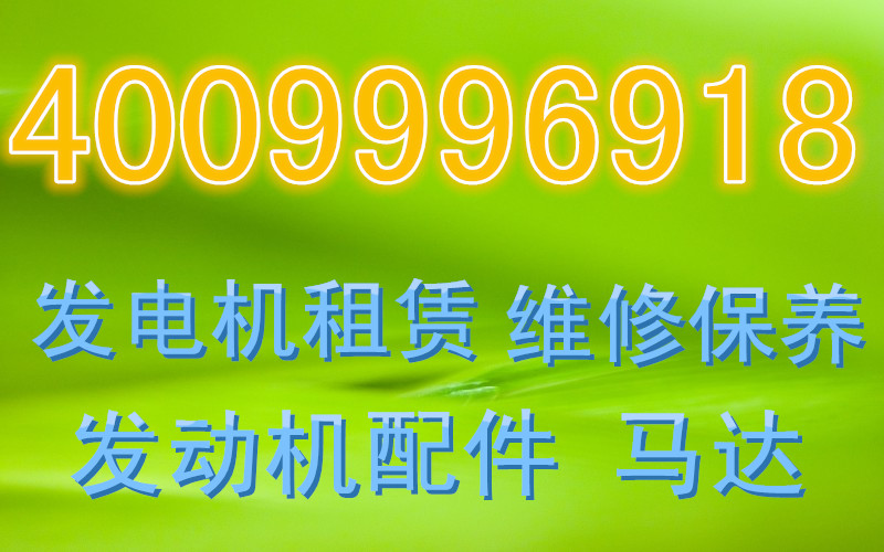 嶧城區(qū)黑夜給了我黑色眼睛多盟發(fā)電機維修保養(yǎng)√