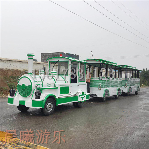 景區(qū)游樂設(shè)備無軌觀光小火車電池維護(hù)技巧