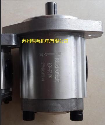 RGP-F204R 臺(tái)灣REXPOWER銳力齒輪泵，液壓元件產(chǎn)生液壓卡緊時(shí)