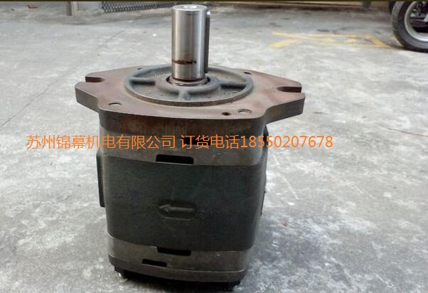 IPVP6-100-101德國VOITH 福伊特齒輪泵，Sensors振動(dòng)傳感器