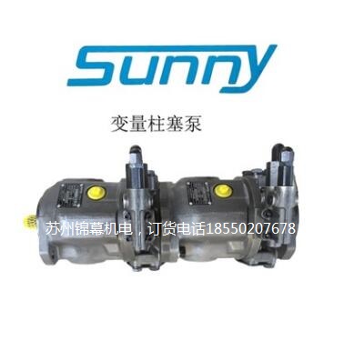 25V10A-1B22R美國SUNNY桑尼葉片泵，葉片泵維修