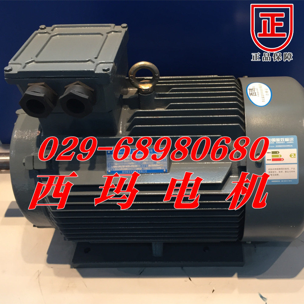 YGM315L2-2/200KW/IP23/50HZ/380V/B級(jí)絕緣交流電動(dòng)機(jī)