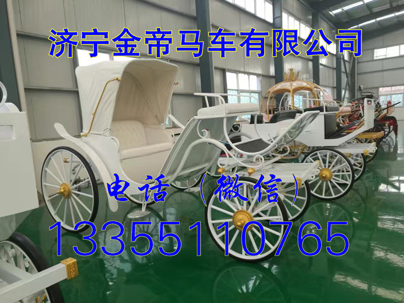 臨沂皇家馬車哪里有賣的