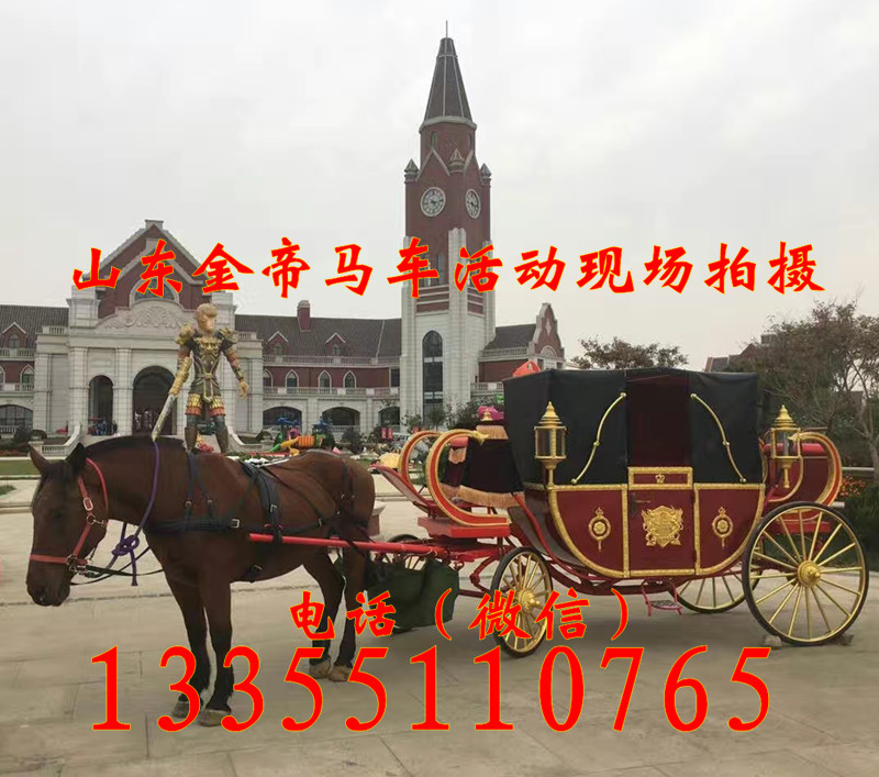 寶雞馬車在哪里能買到金帝馬車制造廠皇家馬車旅游馬車