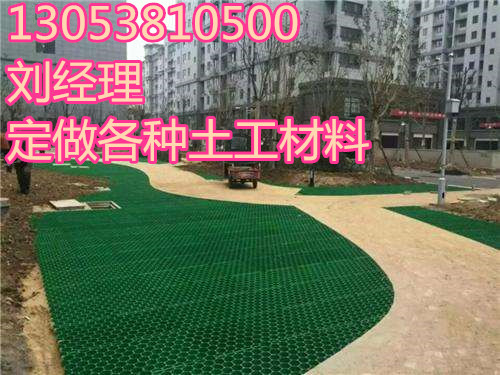 深圳塑料植草格 長期供應(yīng)規(guī)格齊全的塑料植草格  停車位植草格