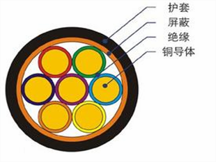 阻燃計(jì)算機(jī)電纜ZR-DJYPVP-10*2*0.75自動(dòng)化機(jī)械用