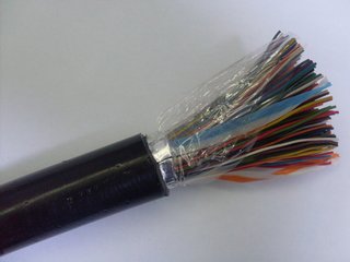 阻燃電纜ZRA-DJYP2VP2-10*2*1自動化機械用