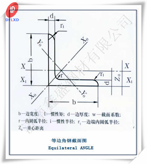 池州角鋼廠(chǎng)&24小時(shí)報(bào)價(jià)團(tuán)隊(duì)