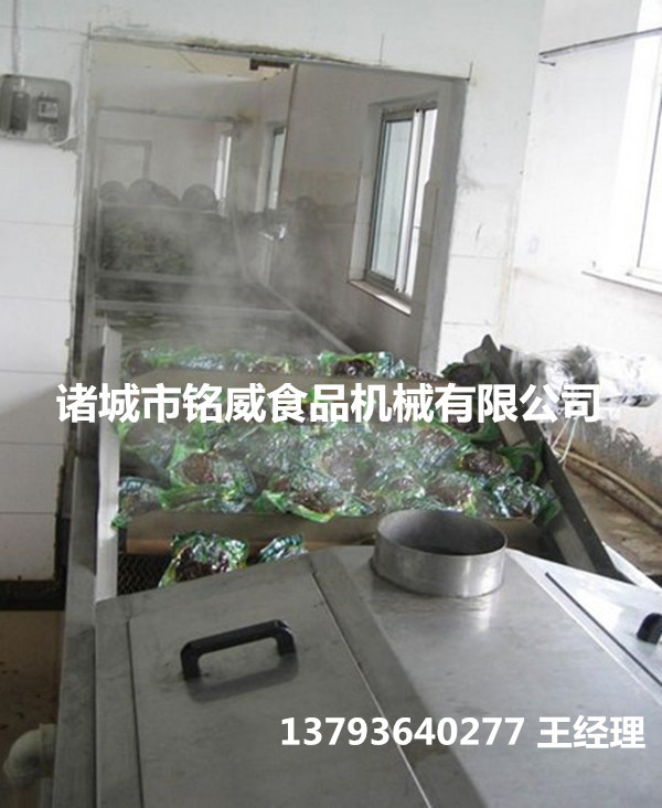 巴氏殺菌機(jī) 巴氏殺菌生產(chǎn)線