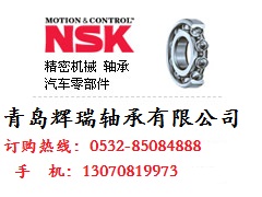 NSK 2316