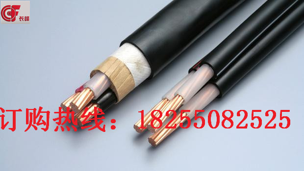 供應(yīng)ZR-BPYJVP12R3*6+3*1.0阻燃變頻電纜ZRBPYJVP12R