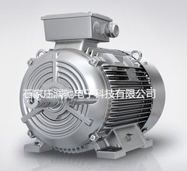 西門子2級(jí)能效電機(jī) 22KW 2級(jí) 1LE0003-1EA23-3AA4