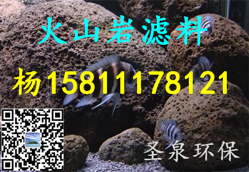 》歡迎光臨“新鄭市火山巖石材》、“新聞報(bào)道”》——最新資訊歡迎您!新鄭市