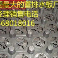 德陽(yáng)哪里有2.0蓄排水板}廠家、歡迎您-德陽(yáng)土工膜