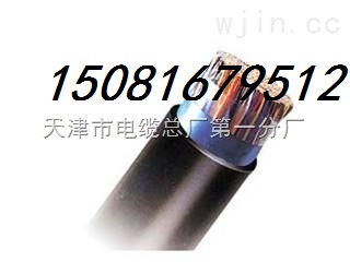 供應(yīng)控制電纜 KVVP 450/750直流電纜