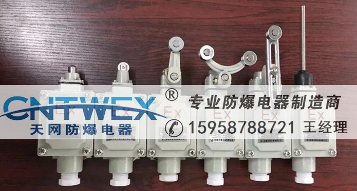 LX5-211防爆行程開關(guān)BZX51 隔爆限位開關(guān)BLX5 LX5-K 可調(diào)節(jié)