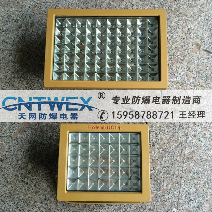 CCD97-130W防爆免維護(hù)LED泛光燈IICT6 IP65