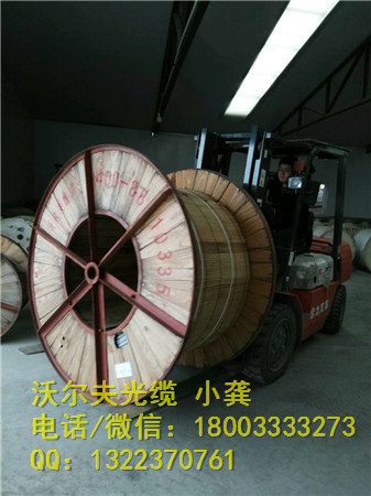 48芯OPGW光纜，哪里賣OPGW-24B1-100光纖