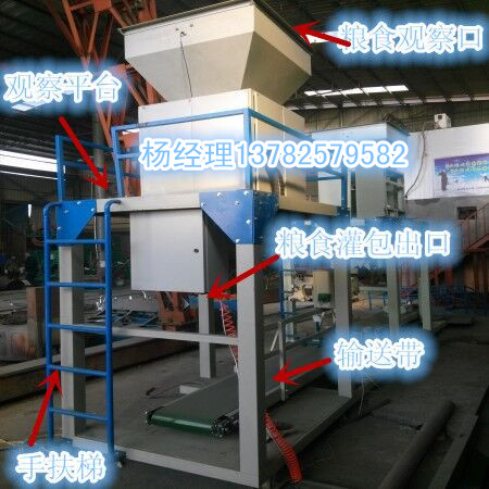 定量包裝機(jī)-港口定量包裝秤-自動(dòng)裝袋機(jī)