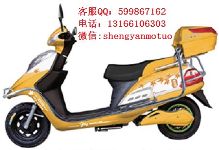 供應(yīng)鴻爾達(dá)神鷹 長(zhǎng)跑爬坡王（TDR274Z-10）電動(dòng)車