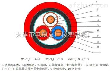 MYPTJ8.7/10KV3*70+1*25+3*6|r(ji)