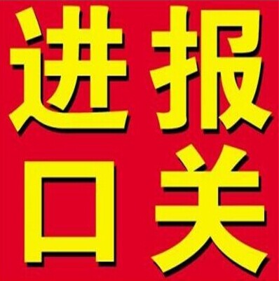 日本寵物糧食從香港到上海清關公司