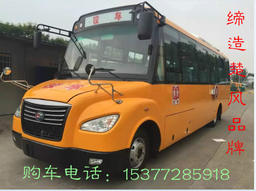 楚風校車56座小學生校車多少錢一輛？