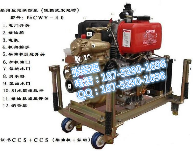 65CWY-40船用應急消防泵 CCS船檢