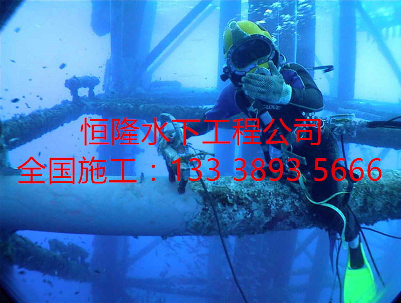 長興潛水員閘門槽水下檢測水下檢查、蛙人施工隊