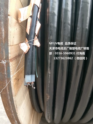 伊春DJFVFP 耐高溫計算機(jī)電纜 詳情訊