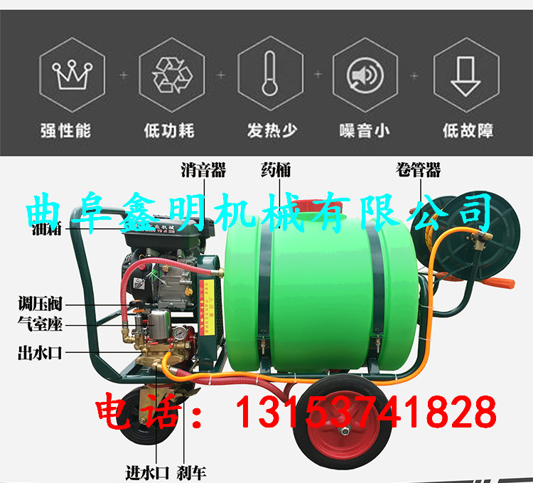 臺前縣新型手推式蔬菜果樹殺蟲噴藥機 果園除草噴霧機 園林噴藥機