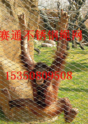 娛樂(lè)設(shè)施防護(hù)網(wǎng) 動(dòng)物園籠舍廠家直銷(xiāo)