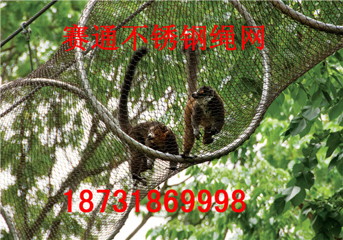 野生動物園圍欄網(wǎng)施工/不銹鋼繩網(wǎng)施工/不銹鋼扣網(wǎng)