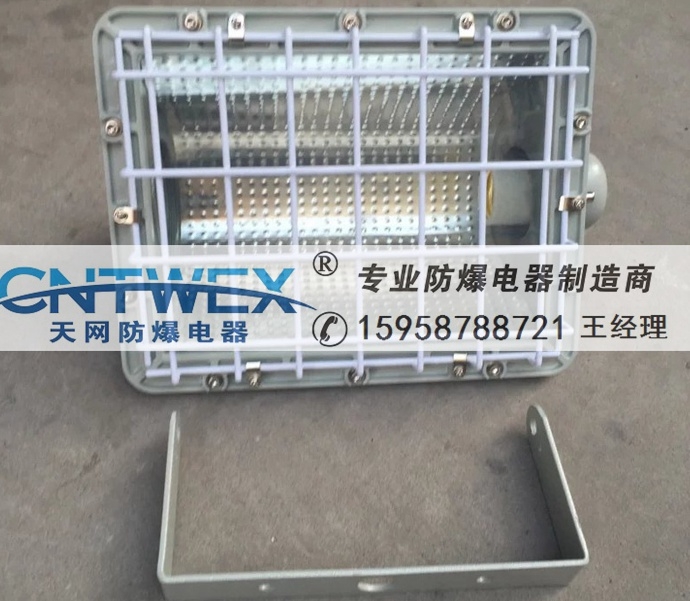 防爆探照燈_BTd圓型投光燈250W 400W 1000W防爆探照燈