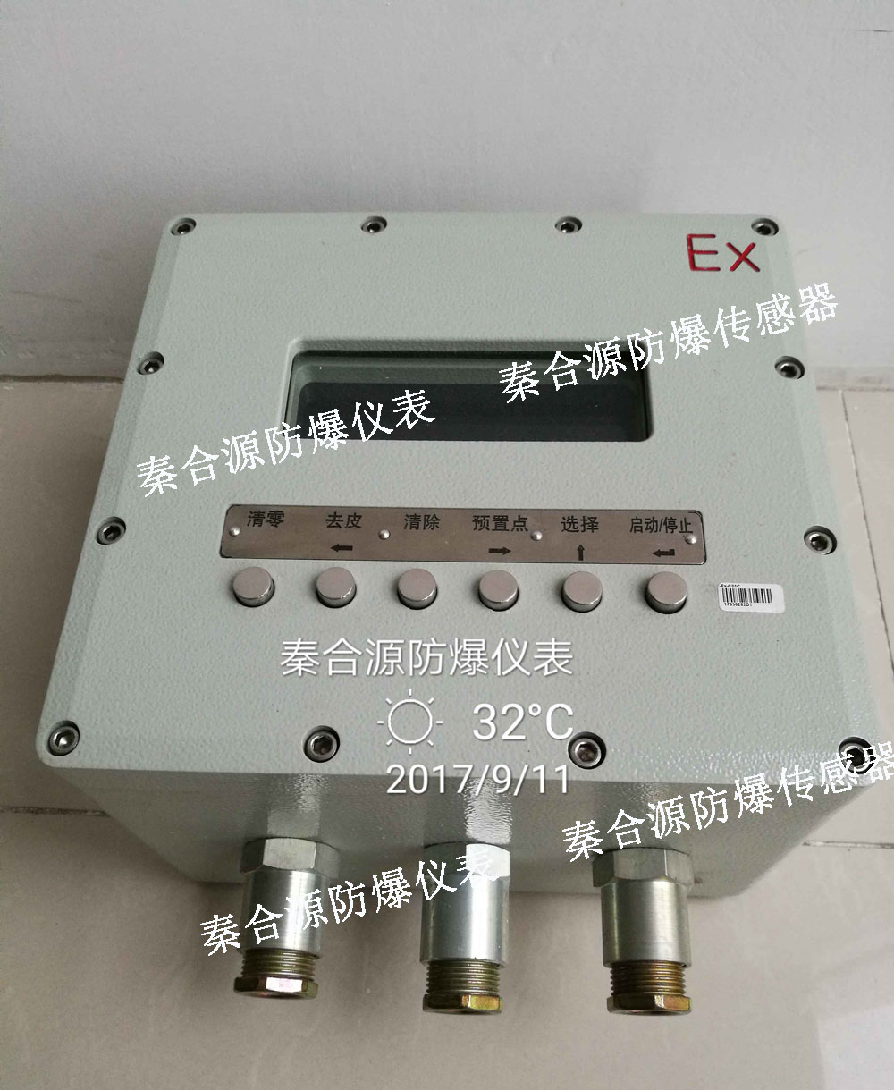 河南稱重傳感器1T 2T 5T 10T防爆稱重儀表配套FB-XK3101