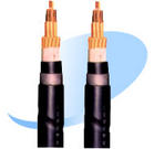 10對(duì)電話電纜