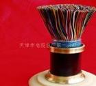 HYA53-30對(duì) 鎧裝通信電纜（優(yōu)惠價(jià)格）