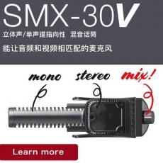 Azden SMX-30V 阿茲丹立體聲 單聲道指向性 混音話筒 機(jī)頭話筒 機(jī)頭麥 影視拍攝話筒 視