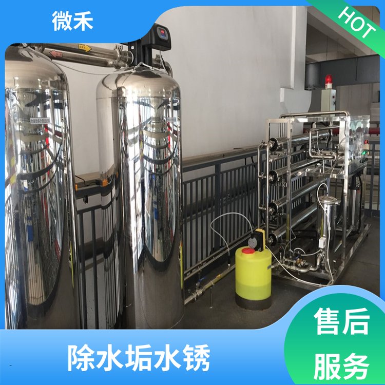 微禾 飲用水處理 雙級(jí)純水系統(tǒng) 自動(dòng)化儀表 支持加工定制