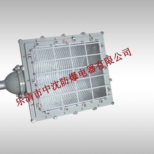 BFC8100一體式防爆泛光燈，BGC8110防爆泛光燈價(jià)格，防爆泛光燈廠家
