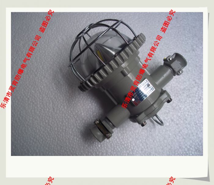 DGS20/127L(A)礦用隔爆型巷道燈,20W礦用巷道燈,127V巷道燈