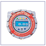 RAEguard IR /LEL 可燃?xì)怏w檢測(cè)儀